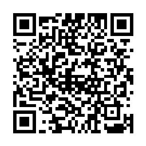 在想着微博的事情……如果宴维抱着她的照片是王瑶馨发的二维码生成