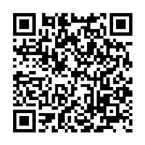 在感知到吕洞宾等人都只有界主境界的修为之后二维码生成