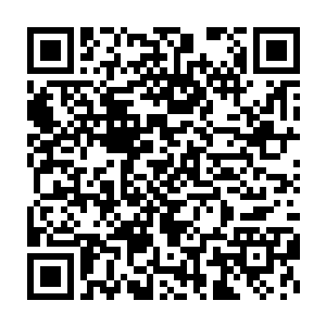 在我们龟族坐镇的五名十六星级强者就被陶家联盟的人打成了重伤二维码生成