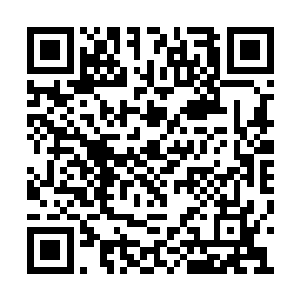 在我来到仙界之后发现不仅是仙主和魔主消失了二维码生成