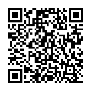 在房间里面的白振东自然也不知道宣州公园刚才发生的事二维码生成