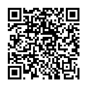 在所有的信徒心中娑娜的身份几乎就是高高在上的神邸一般二维码生成