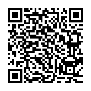 在打起来之前没有人会认为在少了潘森这个重要战斗力的前提下二维码生成