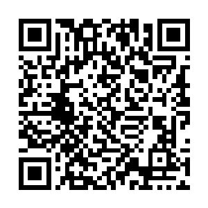 在整个圣庭之中也是一大早就如茶如火的热闹了起来二维码生成