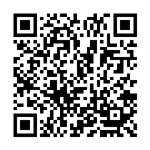 在整个迪姆星域四百多个星系都可以排进前三名二维码生成