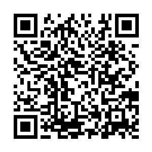 在新生比武大会上我还看过长阳翔天同学的打斗呢二维码生成