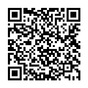 在方炎都觉得那乐痴是不是把大家伙儿当白痴的时候二维码生成