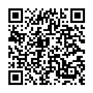 在旁的太戊若霜便是一副把握十足的样子喊了起来二维码生成