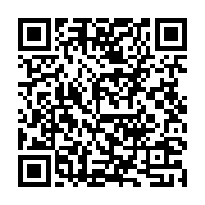 在旁边不知道多久的估计以前是客栈的马棚的草堆里二维码生成