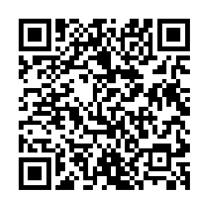 在时间之塔外面扎营帐的绝对不止广南王府和魔杀谷与执天阁二维码生成