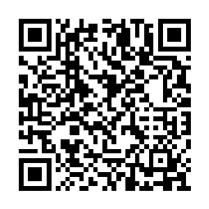 在易筋期对付两匹易筋巅峰的腐狼又有多大可能二维码生成