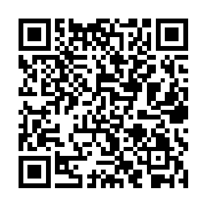 在星空各个势力的帮助和昊天域界所有子民的努力下二维码生成