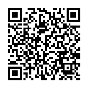 在最后关头将绝大的力道全都转移到了八道分身之上二维码生成