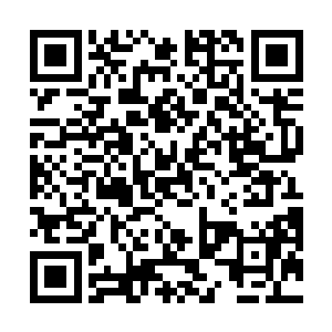 在有角人中犹如透明人的空城城主忽然发出难听的笑声二维码生成