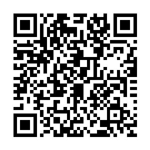 在李阿文说话之间远处的天空开始响彻开了一个奇怪的警报声二维码生成