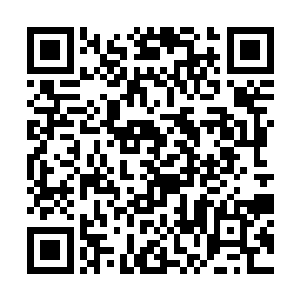 在来的时候我已经想到了一个与食物有关的分配方案二维码生成