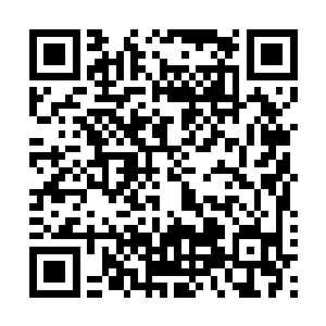 在杨晨这种正儿八经的道家修士面前根本连还手之力都没有二维码生成