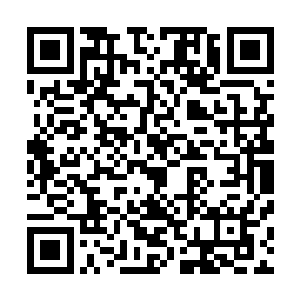 在某种情况下你的身体甚至已经有了超越那十二祖巫的潜质二维码生成