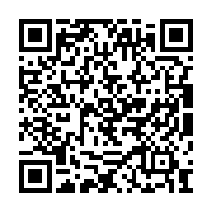 在梦里贝海梦到了自己把这条哥斯拉拖上了甲板二维码生成