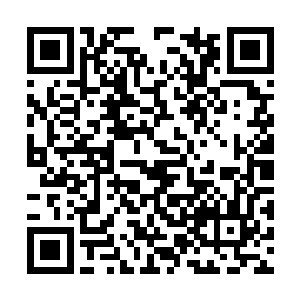 在横水城外守候的郁鸾刀亲自陪同徐凤年返回银鹞二维码生成