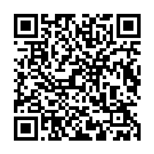 在欧洲期间被拉拢介绍进入了欧洲一流的恐怖军事组织训练二维码生成