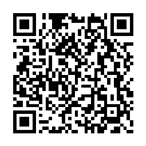 在此万全之策下对夜染几人完全可以手到擒来了二维码生成