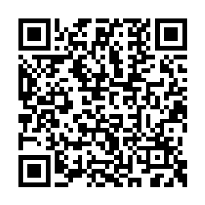 在此刻夕阳完全的爆发出了他以前那种杀人如麻二维码生成