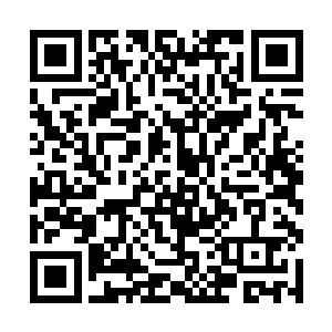 在每个球形体的旁边还摆放着一个个项圈形状的东西二维码生成