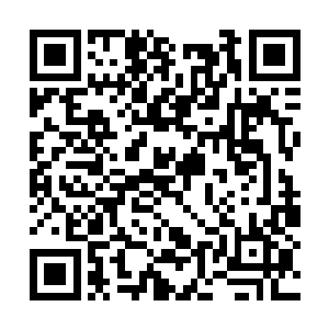 在比赛中你很有可能会成为卡塔尔重点关照的对象二维码生成
