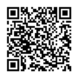 在水中根本就是像人族在陆地之上一般轻松随意二维码生成
