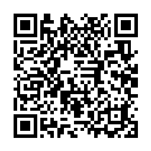 在水天一这个文化界巨擘发表了支持苏文的文章后二维码生成