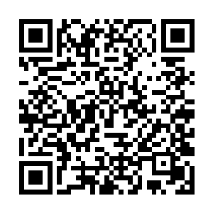 在池塘边玩耍的小白和许响听到了竹楼里面的争吵声二维码生成