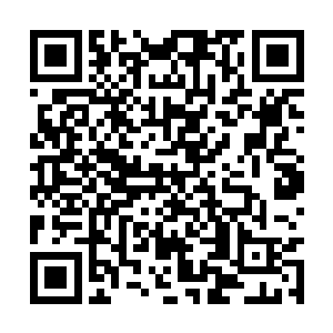 在没有任何关于这些人相貌特征的证词和证据之前二维码生成