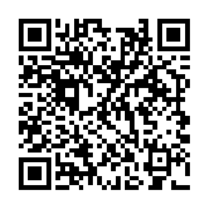 在没有解决完自己跟盘古道尊之间的宿命因果之前二维码生成