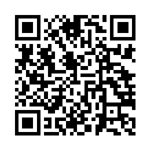 在洛天星傍晚被送上飞往盛京的航班之前二维码生成