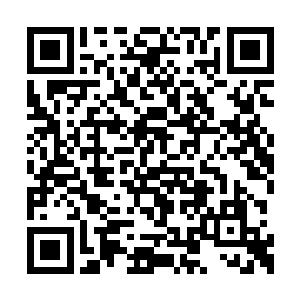 在清洗秦建国在中大山庄剩下的几套房产的时候二维码生成