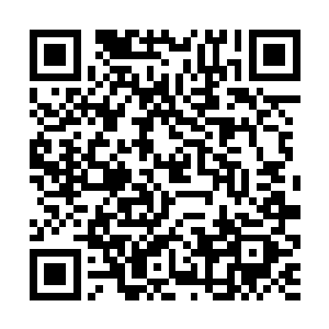 在灭焰联盟数百万大军以及二十余名圣王强者的面前二维码生成