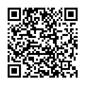 在炼器峰一般只有修到了大乘期才有资格成为一脉的长老二维码生成