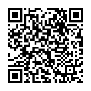 在烟尘之中见丝丝龟裂的地面上出现了一个半丈来深的大坑二维码生成