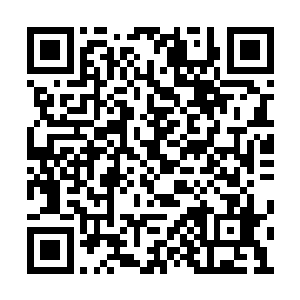 在现在这个时候还是需要跟波士顿方面站在一起二维码生成