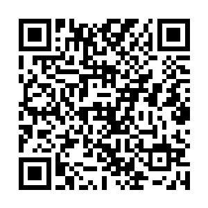 在琴瑟色只是把他们困住而没有真正伤害到他们的时候二维码生成