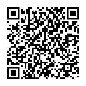 在电话这头看不到那边情景的叶秋更是惊讶刘老的盒子里到底会有些什么东西二维码生成