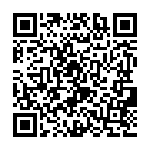 在电话里信誓旦旦地说他是早请示晚汇报的模范老公二维码生成