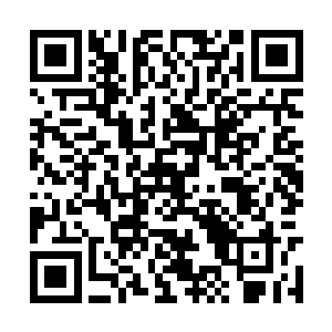 在白色的骨粉中间发现了几丝红色血管一样的东西二维码生成