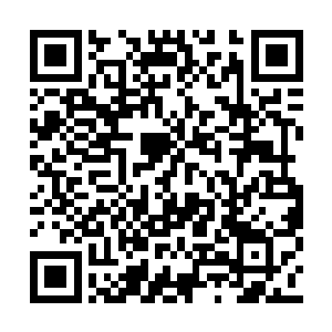 在相当长的一段时间里都不会有新的生命体出现二维码生成