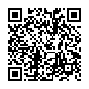 在看到一枚棋子居然敢不按照自己制定的规则走二维码生成