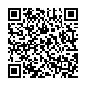 在看到张萧晗的身前骤然出现了五把不同颜色的飞刀后二维码生成