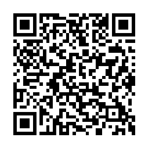 在看到那些大蝙蝠的时候他们就有种不好的预感二维码生成