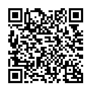 在眼下修仙界小鲜肉跟青年美男子层出不穷的岁月二维码生成