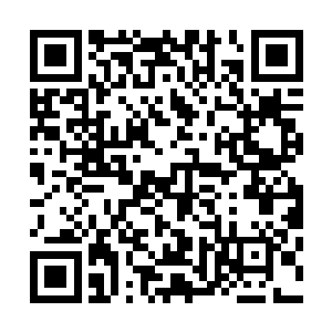 在知道皇上把这次的事情交给全权交给刑部胡林处理的时候二维码生成